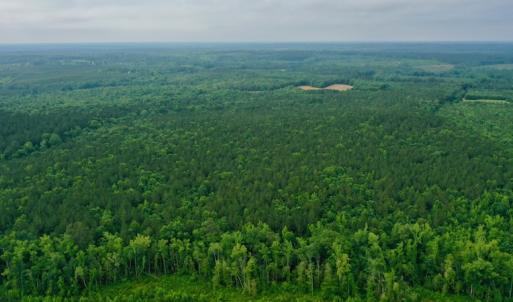 Photo #11 of SOLD property in Off Old Macon Highway, Macon, NC 104.0 acres