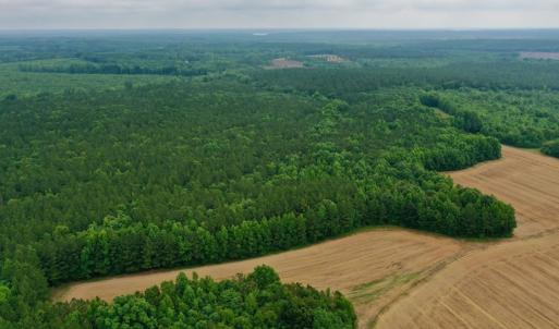 Photo #12 of SOLD property in Off Old Macon Highway, Macon, NC 104.0 acres