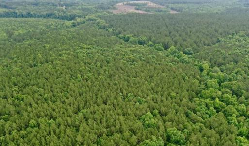 Photo #14 of SOLD property in Off Old Macon Highway, Macon, NC 104.0 acres