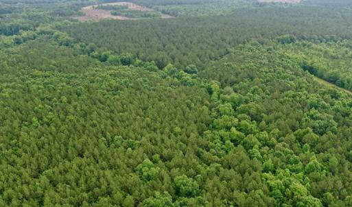 Photo #15 of SOLD property in Off Old Macon Highway, Macon, NC 104.0 acres