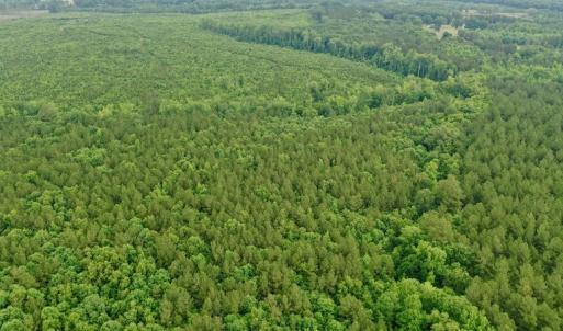 Photo #16 of SOLD property in Off Old Macon Highway, Macon, NC 104.0 acres