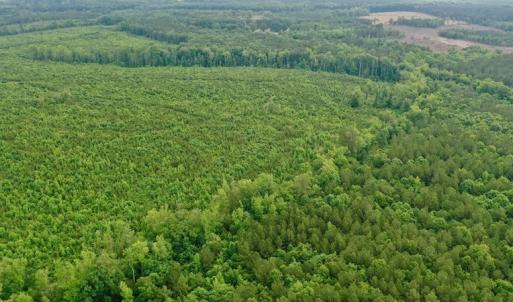 Photo #19 of SOLD property in Off Old Macon Highway, Macon, NC 104.0 acres