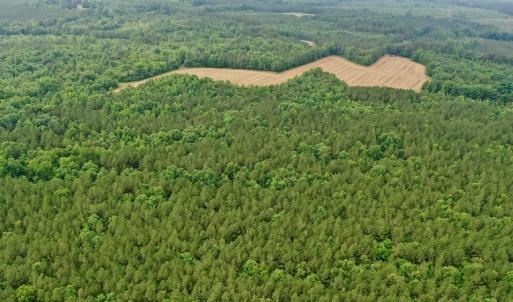 Photo #20 of SOLD property in Off Old Macon Highway, Macon, NC 104.0 acres