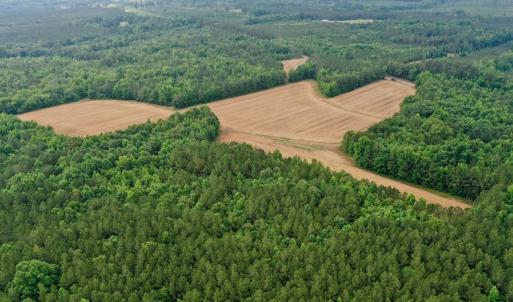 Photo #21 of SOLD property in Off Old Macon Highway, Macon, NC 104.0 acres