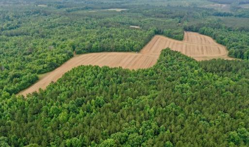 Photo #22 of SOLD property in Off Old Macon Highway, Macon, NC 104.0 acres