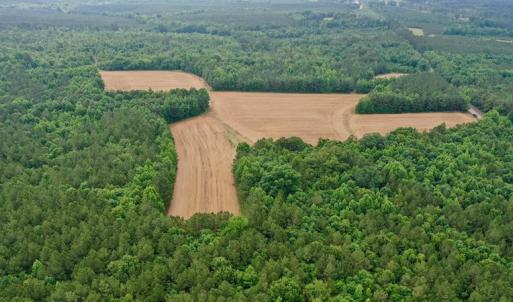 Photo #23 of SOLD property in Off Old Macon Highway, Macon, NC 104.0 acres