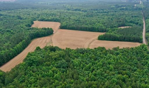 Photo #24 of SOLD property in Off Old Macon Highway, Macon, NC 104.0 acres