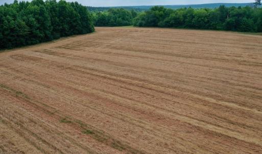 Photo #25 of SOLD property in Off Old Macon Highway, Macon, NC 104.0 acres