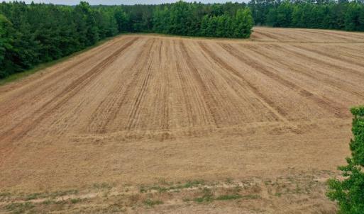 Photo #26 of SOLD property in Off Old Macon Highway, Macon, NC 104.0 acres