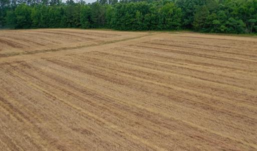 Photo #27 of SOLD property in Off Old Macon Highway, Macon, NC 104.0 acres