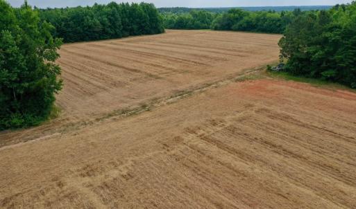 Photo #28 of SOLD property in Off Old Macon Highway, Macon, NC 104.0 acres
