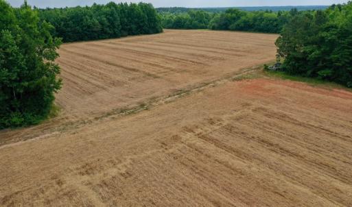 Photo #28 of SOLD property in Off Old Macon Highway, Macon, NC 104.0 acres