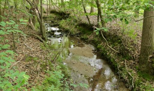 Photo #33 of SOLD property in Off Old Macon Highway, Macon, NC 104.0 acres