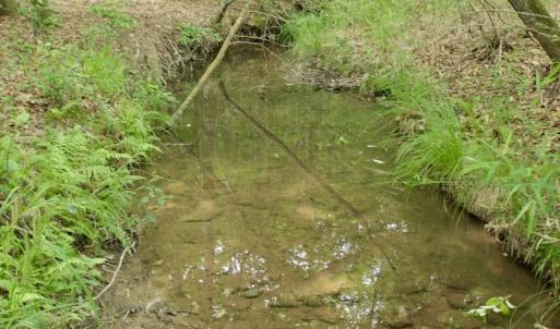 Photo #34 of SOLD property in Off Old Macon Highway, Macon, NC 104.0 acres