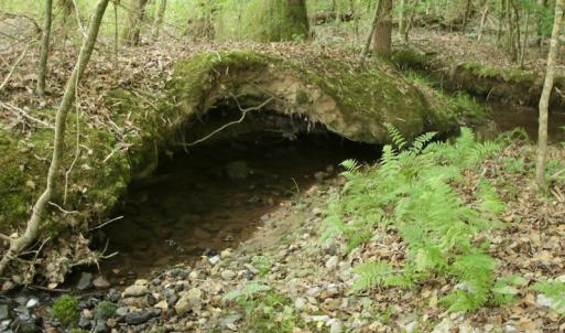 Photo #35 of SOLD property in Off Old Macon Highway, Macon, NC 104.0 acres