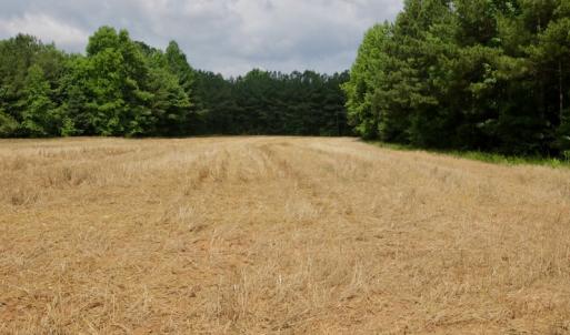 Photo #39 of SOLD property in Off Old Macon Highway, Macon, NC 104.0 acres