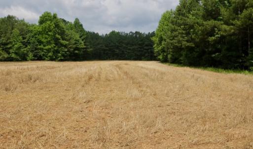 Photo #39 of SOLD property in Off Old Macon Highway, Macon, NC 104.0 acres