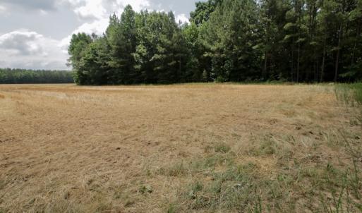 Photo #40 of SOLD property in Off Old Macon Highway, Macon, NC 104.0 acres