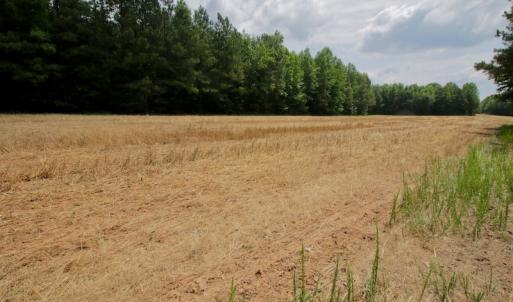 Photo #41 of SOLD property in Off Old Macon Highway, Macon, NC 104.0 acres