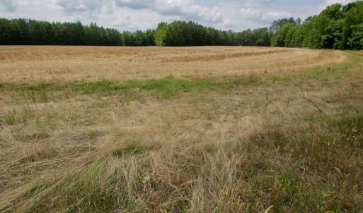 Photo #42 of SOLD property in Off Old Macon Highway, Macon, NC 104.0 acres