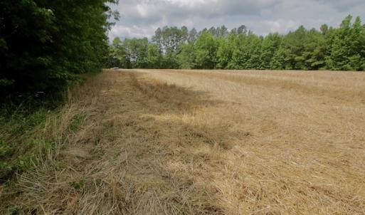 Photo #44 of SOLD property in Off Old Macon Highway, Macon, NC 104.0 acres
