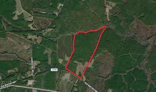 Photo #1 of SOLD property in Off Old Macon Highway, Macon, NC 104.0 acres