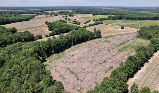 Photo #9 of SOLD property in Off Baker's School Road, Scotland Neck, NC 12.6 acres