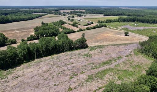 Photo #10 of SOLD property in Off Baker's School Road, Scotland Neck, NC 12.6 acres