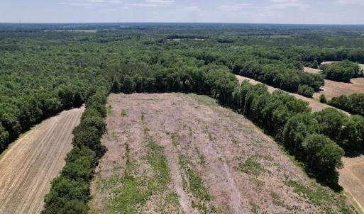Photo #11 of SOLD property in Off Baker's School Road, Scotland Neck, NC 12.6 acres