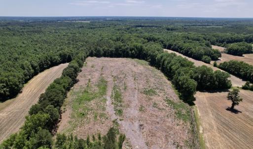 Photo #12 of SOLD property in Off Baker's School Road, Scotland Neck, NC 12.6 acres