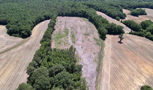 Photo #13 of SOLD property in Off Baker's School Road, Scotland Neck, NC 12.6 acres