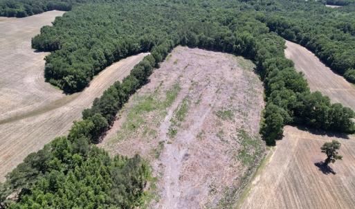 Photo #14 of SOLD property in Off Baker's School Road, Scotland Neck, NC 12.6 acres