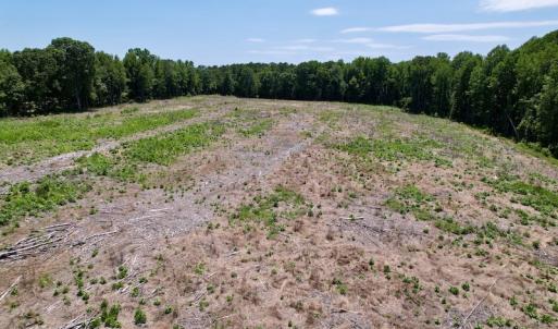Photo #15 of SOLD property in Off Baker's School Road, Scotland Neck, NC 12.6 acres