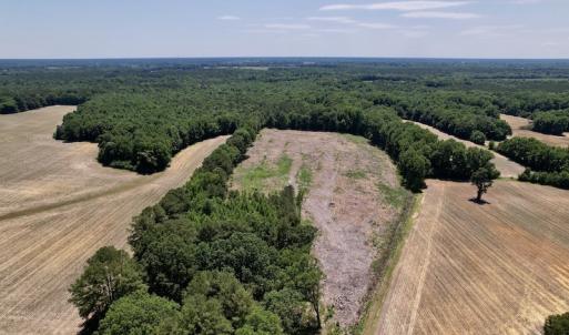 Photo #2 of SOLD property in Off Baker's School Road, Scotland Neck, NC 12.6 acres