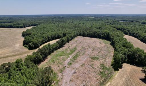 Photo #3 of SOLD property in Off Baker's School Road, Scotland Neck, NC 12.6 acres