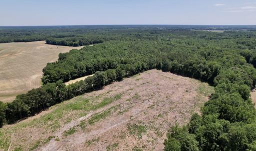 Photo #4 of SOLD property in Off Baker's School Road, Scotland Neck, NC 12.6 acres