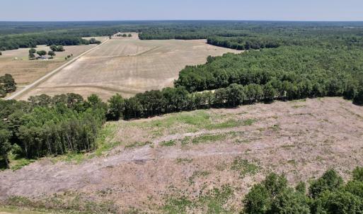 Photo #5 of SOLD property in Off Baker's School Road, Scotland Neck, NC 12.6 acres