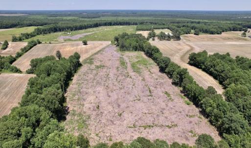 Photo #7 of SOLD property in Off Baker's School Road, Scotland Neck, NC 12.6 acres