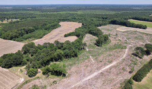 Photo #9 of SOLD property in Off Baker's School Road, Scotland Neck, NC 40.3 acres