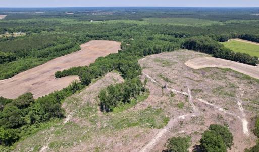 Photo #10 of SOLD property in Off Baker's School Road, Scotland Neck, NC 40.3 acres