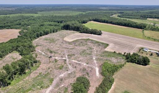 Photo #11 of SOLD property in Off Baker's School Road, Scotland Neck, NC 40.3 acres