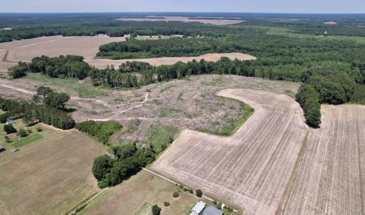 Photo #12 of SOLD property in Off Baker's School Road, Scotland Neck, NC 40.3 acres