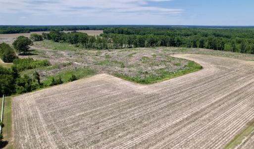 Photo #13 of SOLD property in Off Baker's School Road, Scotland Neck, NC 40.3 acres