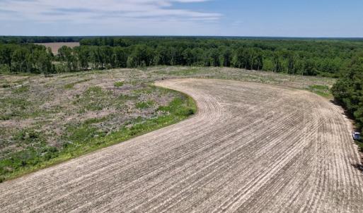 Photo #14 of SOLD property in Off Baker's School Road, Scotland Neck, NC 40.3 acres