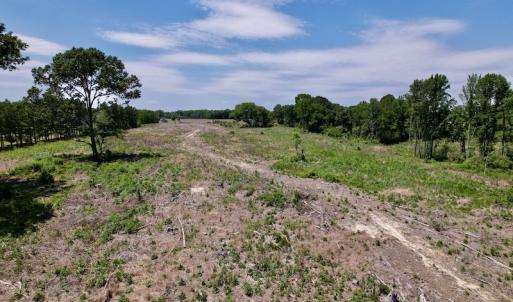 Photo #16 of SOLD property in Off Baker's School Road, Scotland Neck, NC 40.3 acres