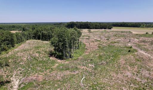 Photo #17 of SOLD property in Off Baker's School Road, Scotland Neck, NC 40.3 acres