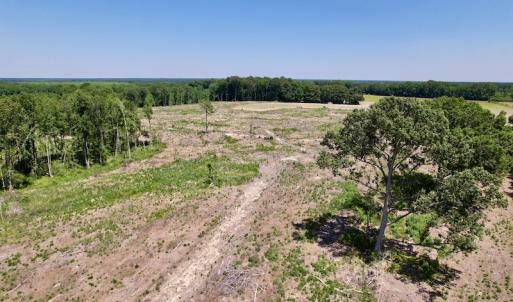 Photo #18 of SOLD property in Off Baker's School Road, Scotland Neck, NC 40.3 acres
