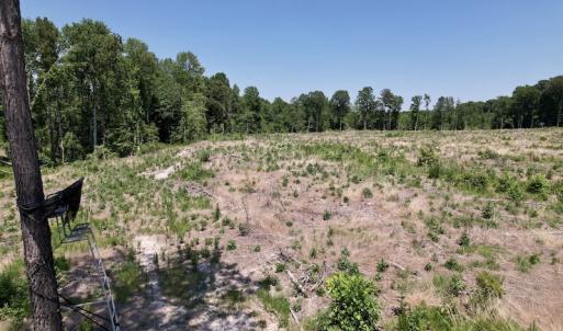 Photo #19 of SOLD property in Off Baker's School Road, Scotland Neck, NC 40.3 acres