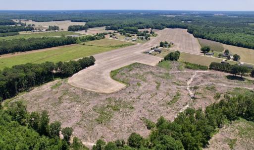 Photo #4 of SOLD property in Off Baker's School Road, Scotland Neck, NC 40.3 acres