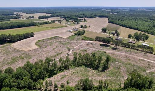 Photo #5 of SOLD property in Off Baker's School Road, Scotland Neck, NC 40.3 acres